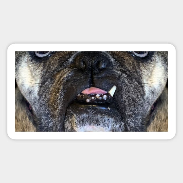 Killer Masks - Rosie The Bulldog-One Tooth Sticker by intofx